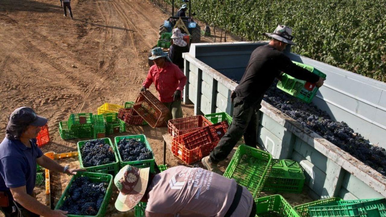 Afrika’da bir ülke daha İsrail’e tarım işçisi gönderecek