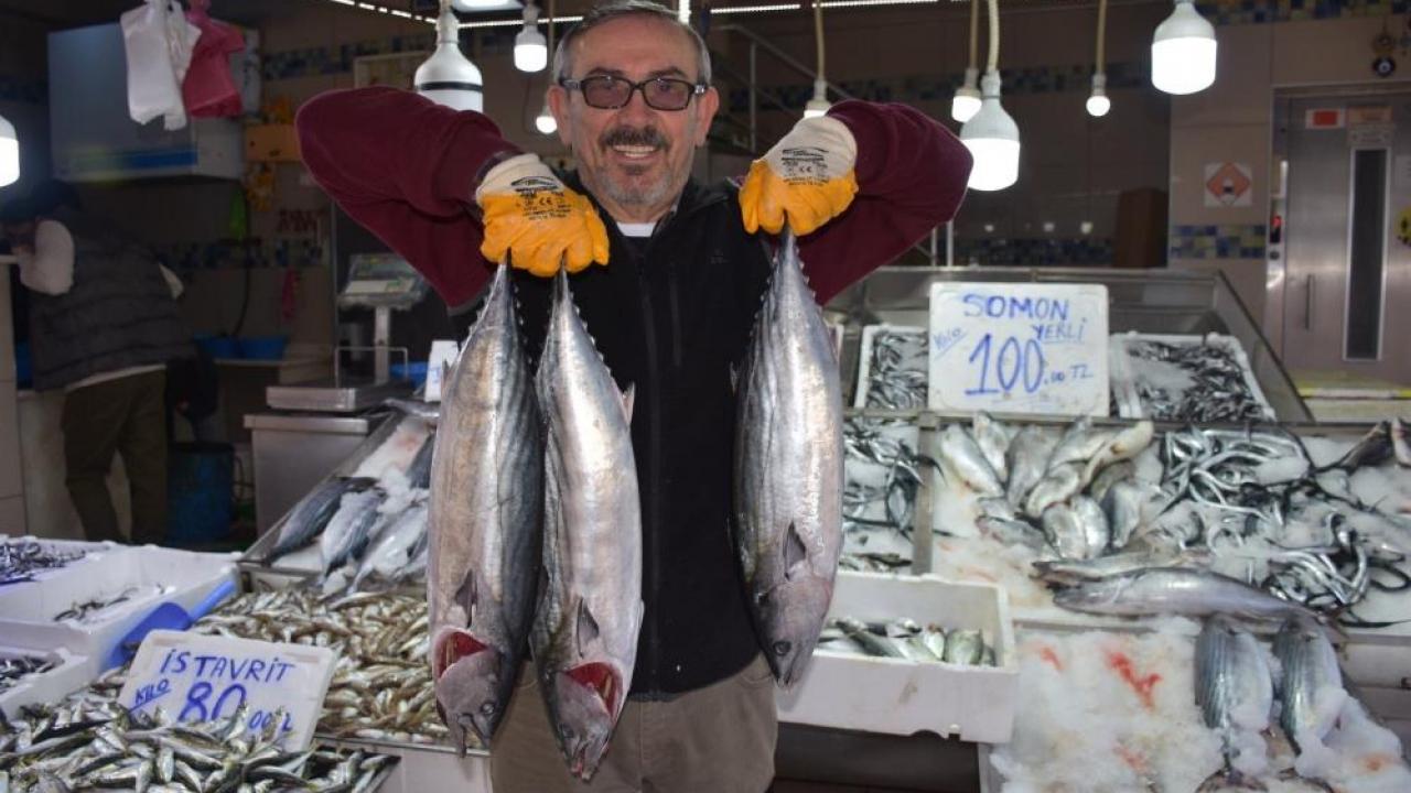 Sinop’ta 3 ve 5 kilogram arası torikler 500 TL